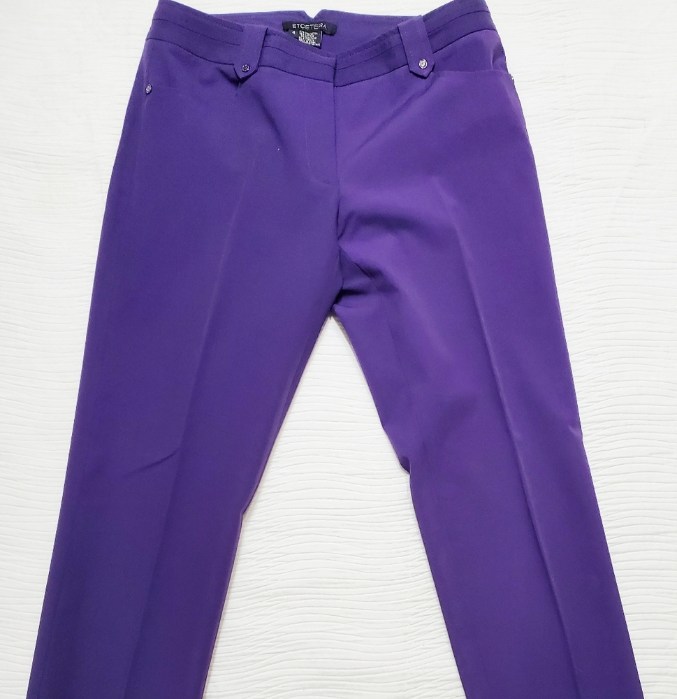 ETCETERA purple pants size 4